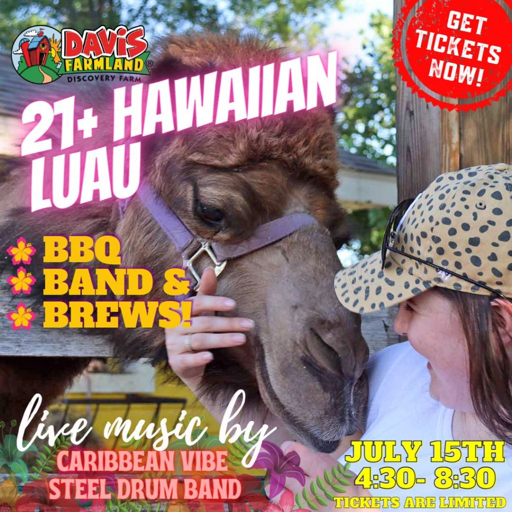 21+ Hawaiian Luau