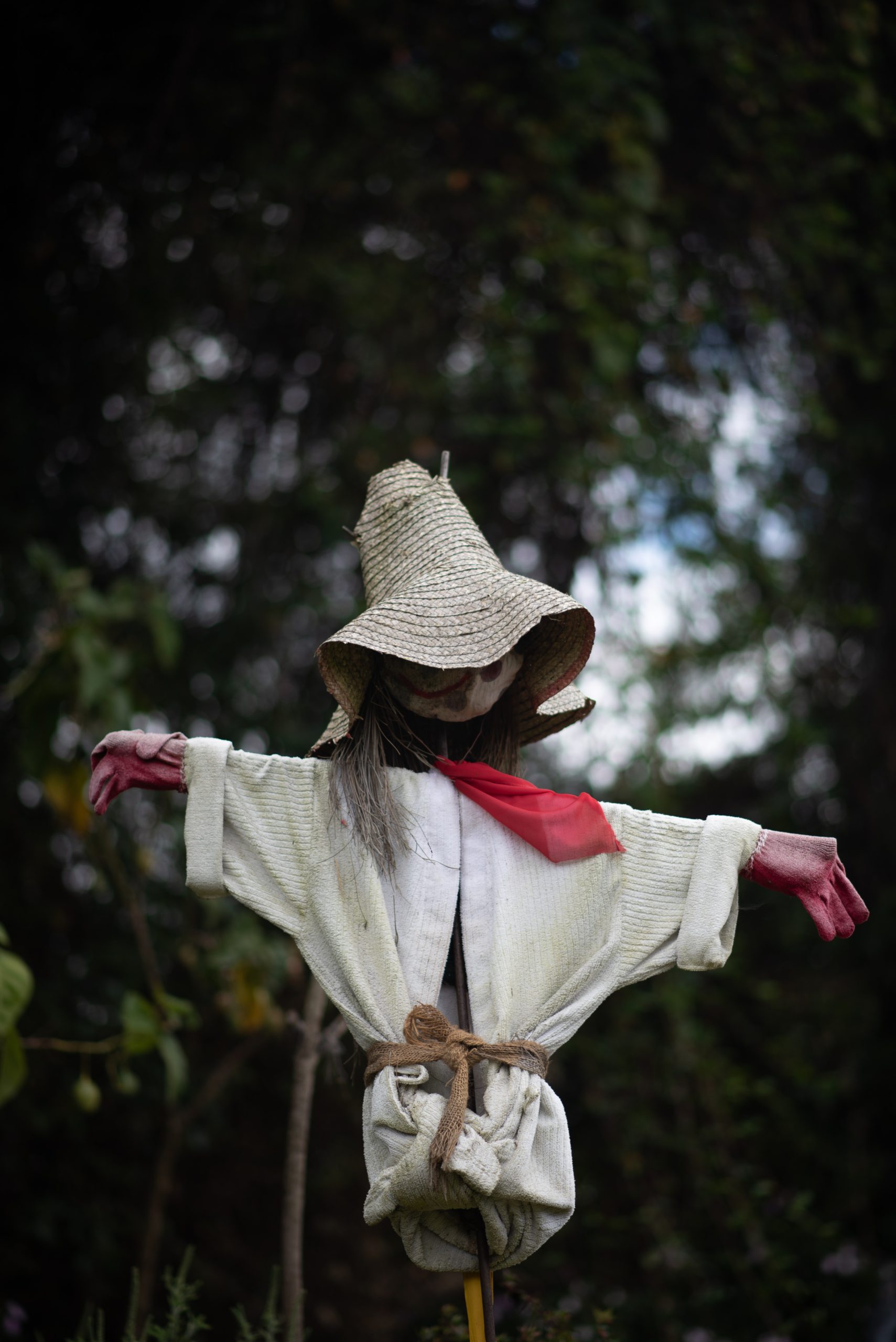 Scarecrow