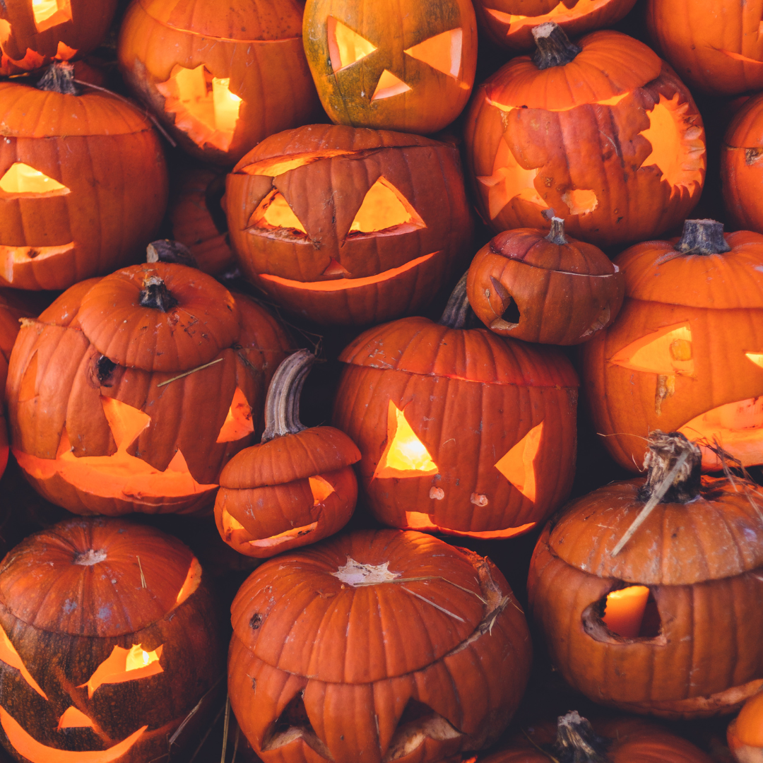Boo Fest