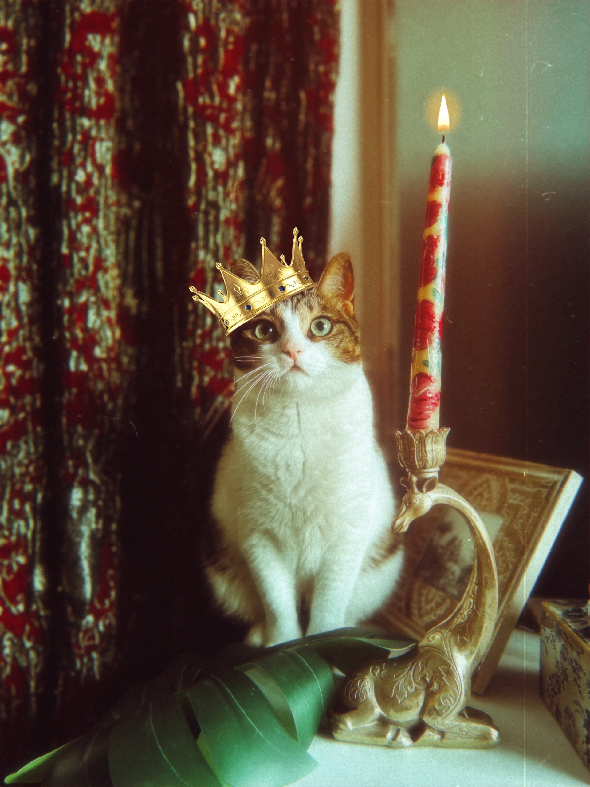 Cat with a crown