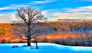 Mass Audubon Washusett Meadows Winter