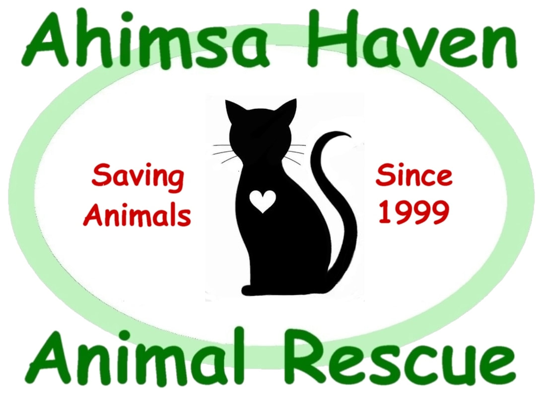 Ahimsa Haven logo