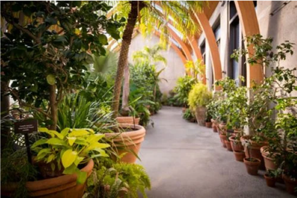 conservatory