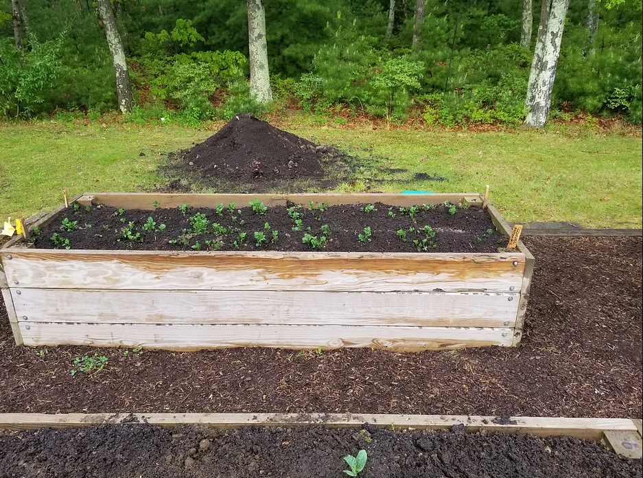 bed of potatoes