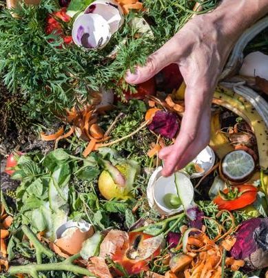 compost