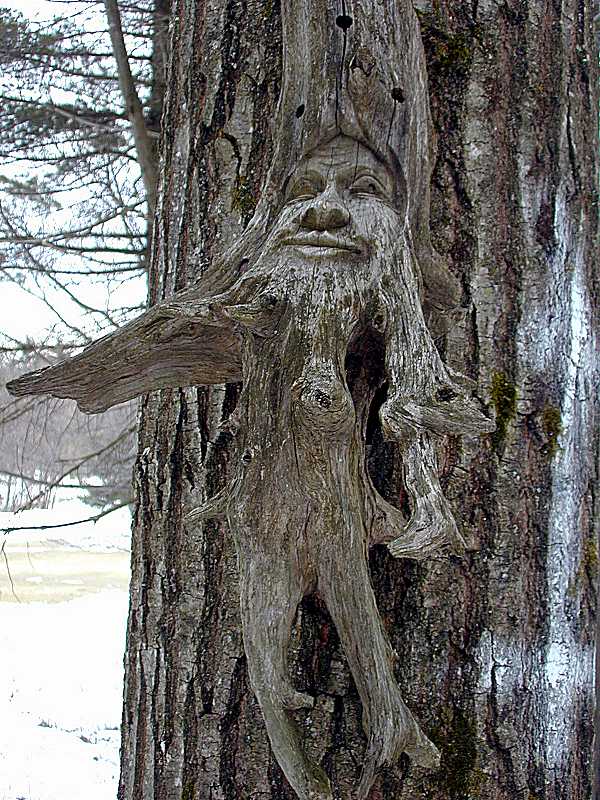 moon man gnome