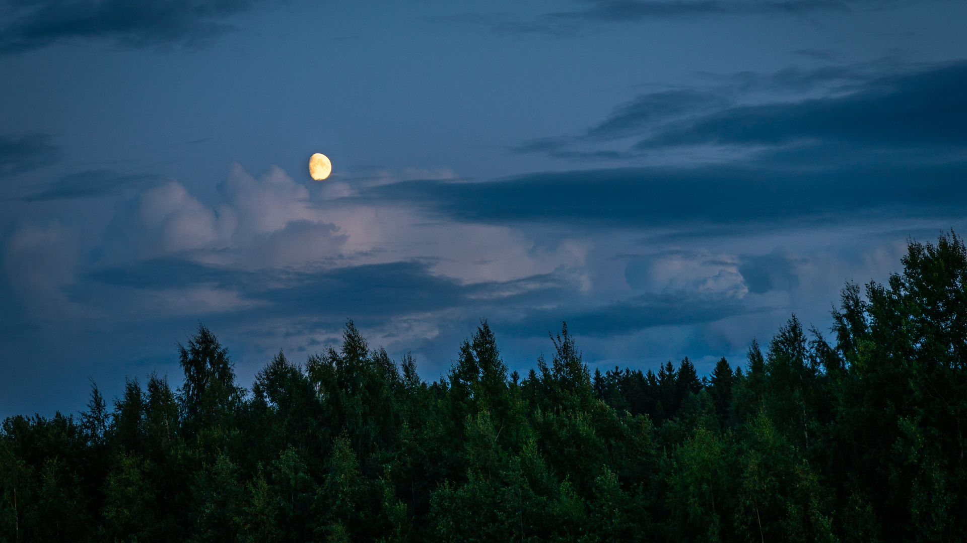 Moonlit Hike