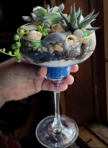 Cheers-to-Summer-Succulents