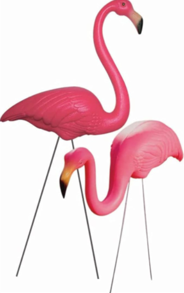 Pink-Flamingo
