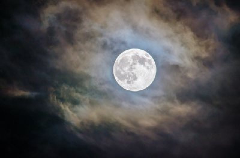 Full Moon Hike at Fruitlands Museum
