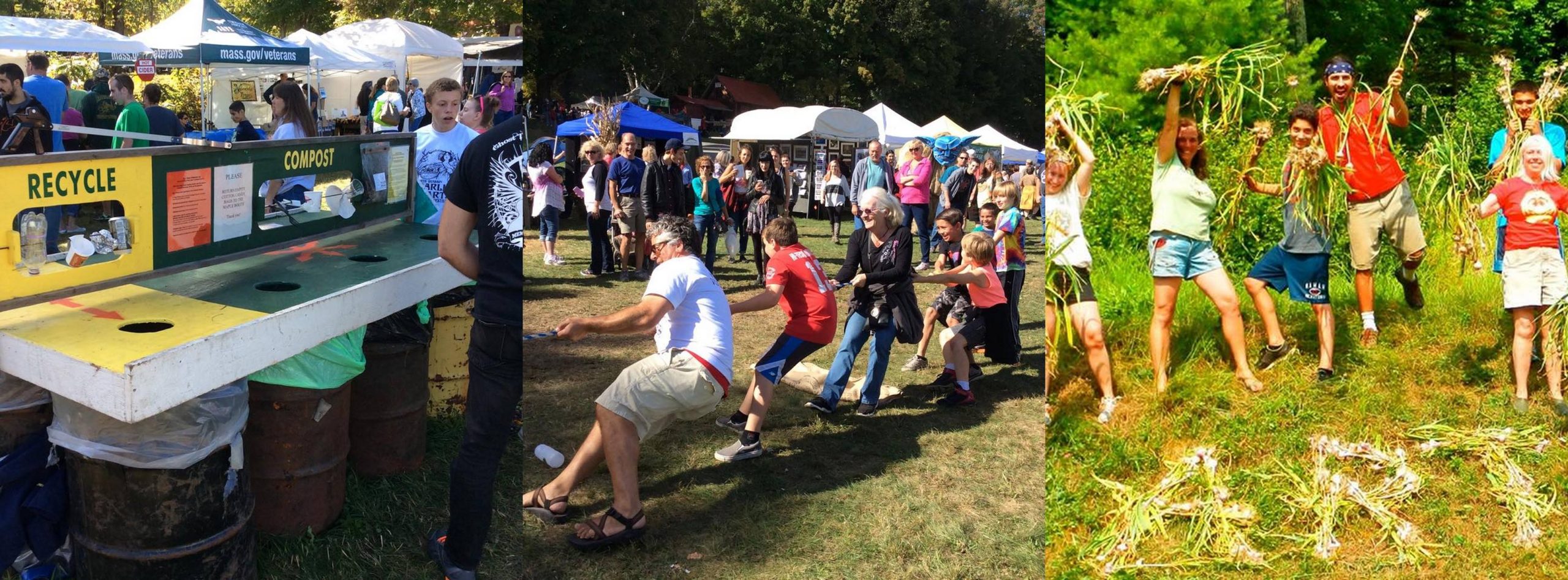 Garlic-and-Art-Festival