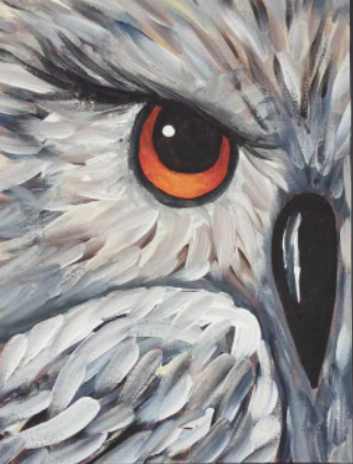 Owls-Up-Close