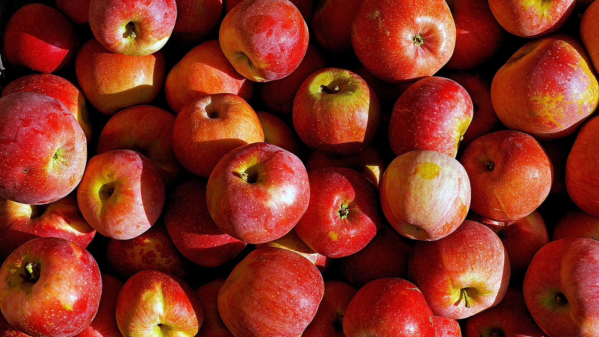 apples