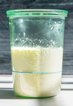 Sourdough-Starter