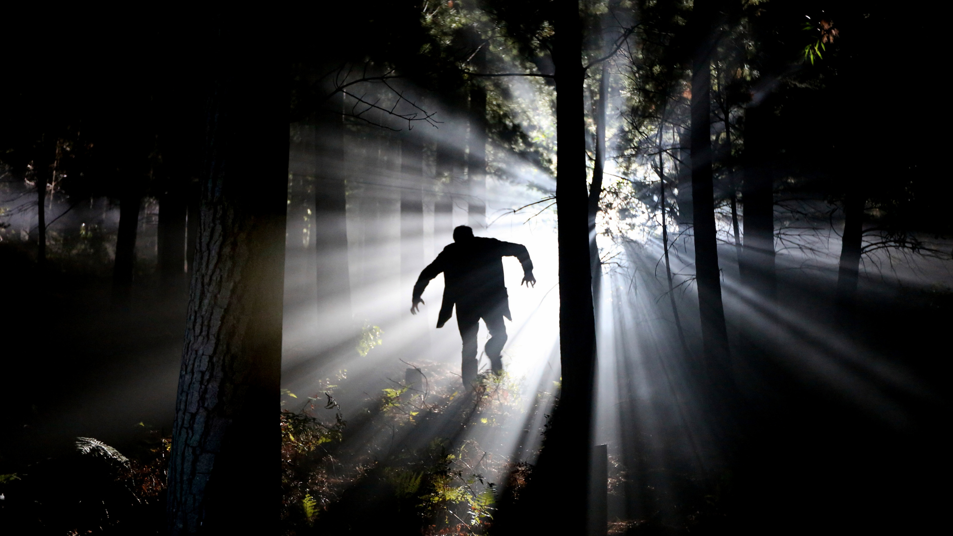 haunted trail