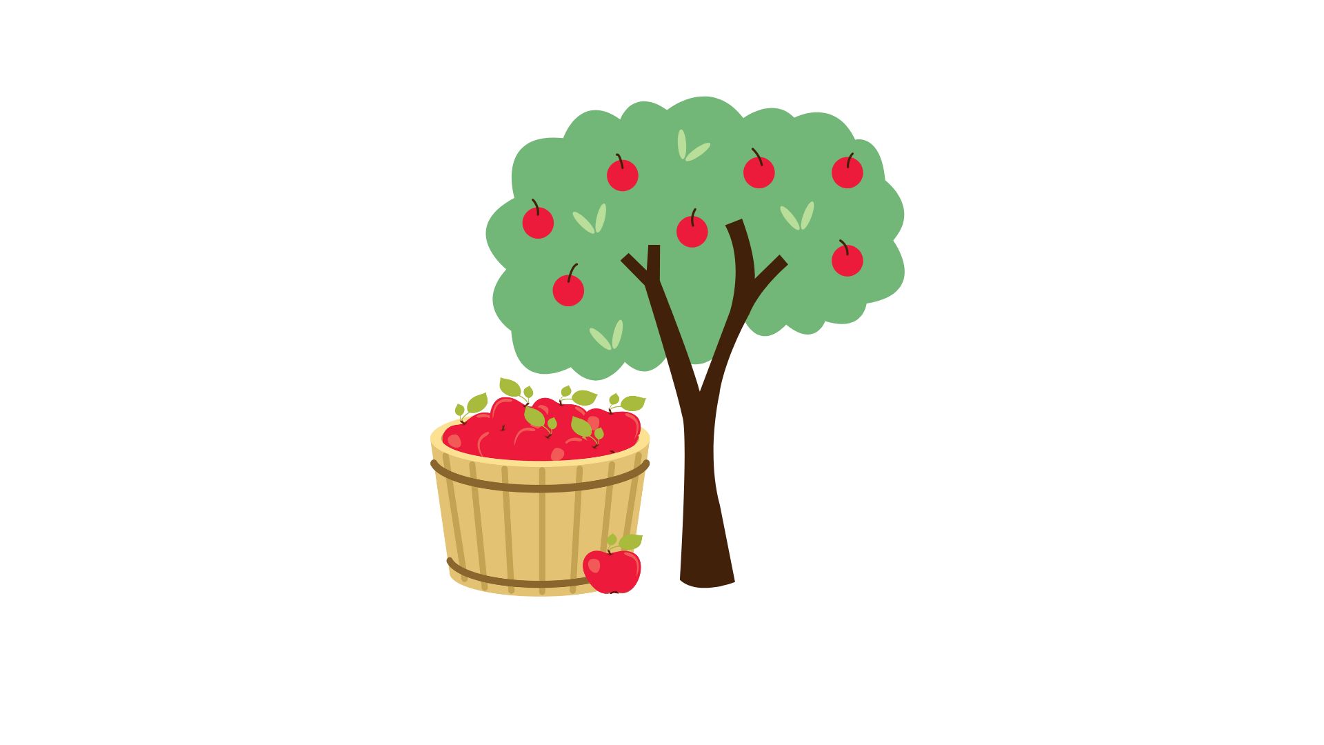 apple tree