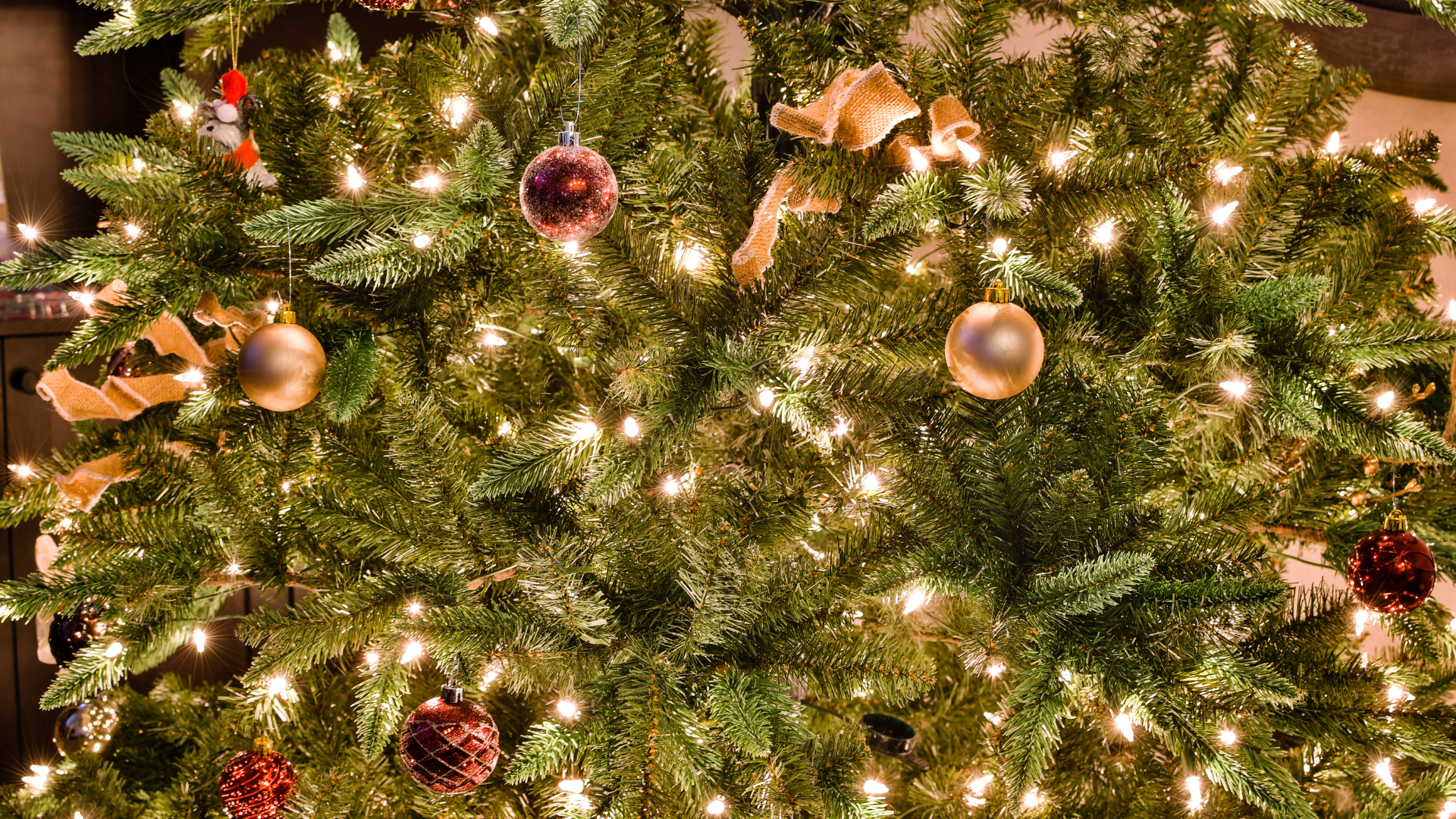 Christmas-lights-