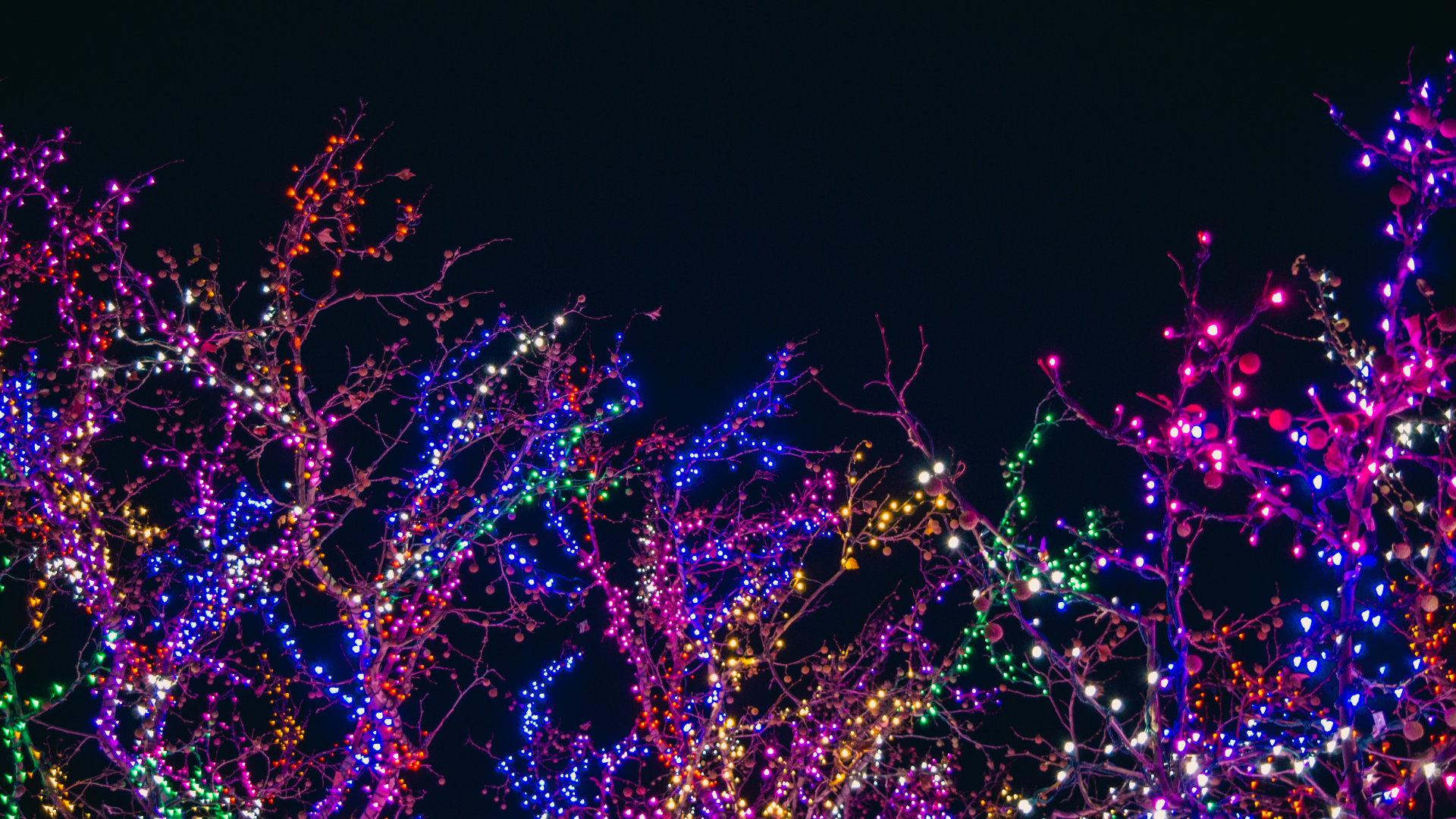 Christmas-lights
