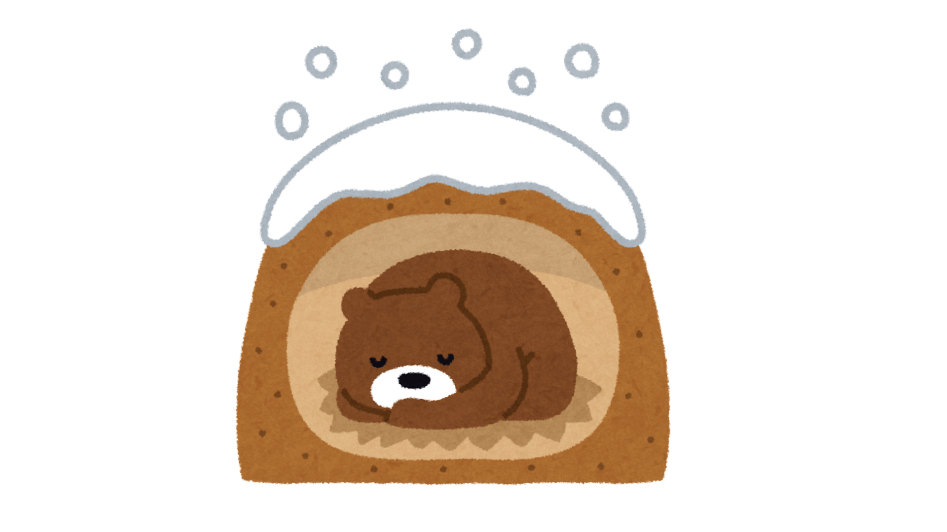Hibernation