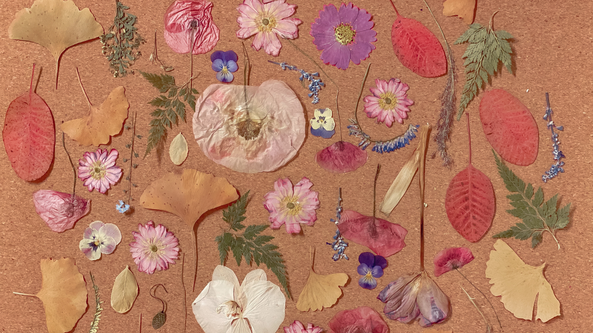 Dried-flowers