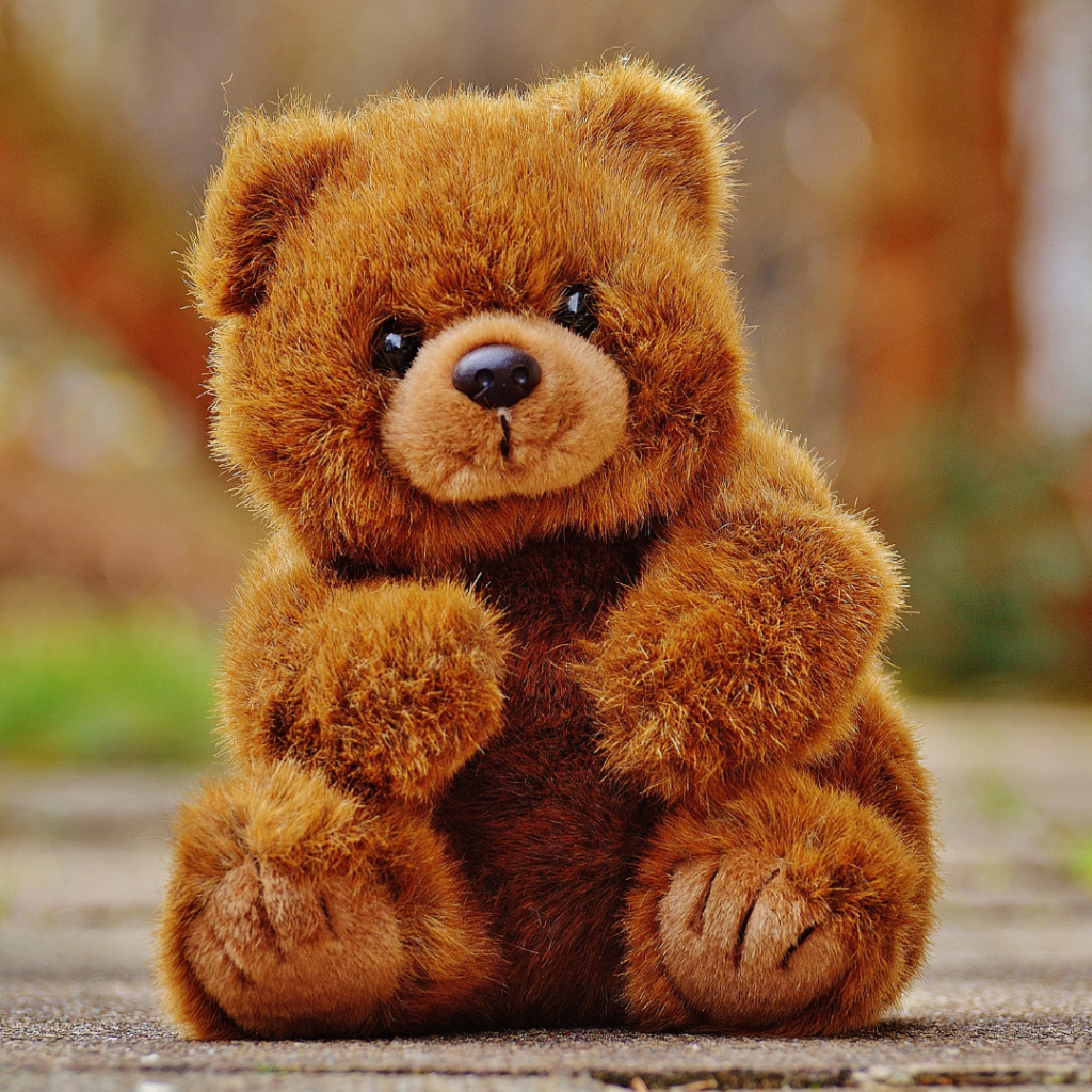 Teddy Bear