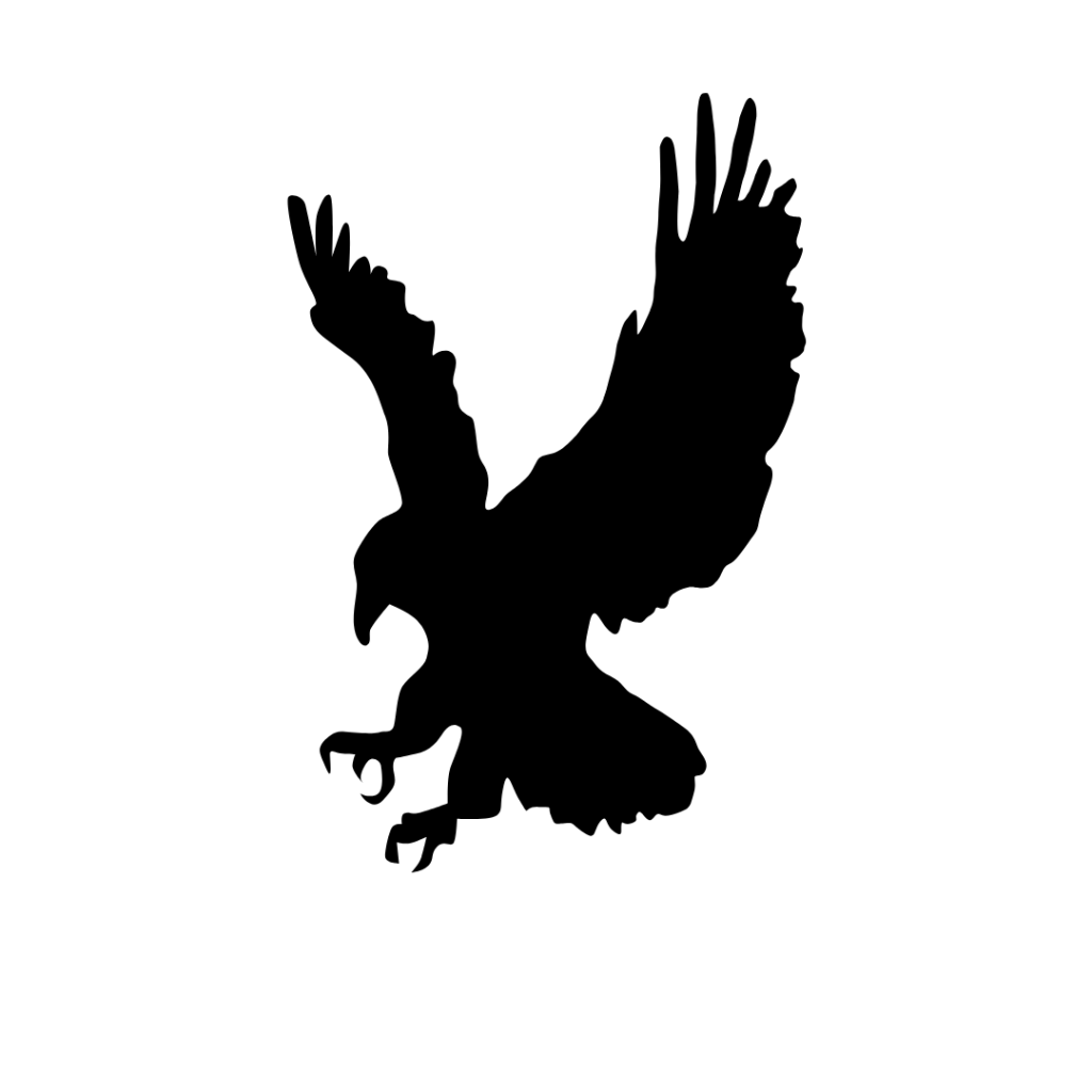 birds-of-Prey