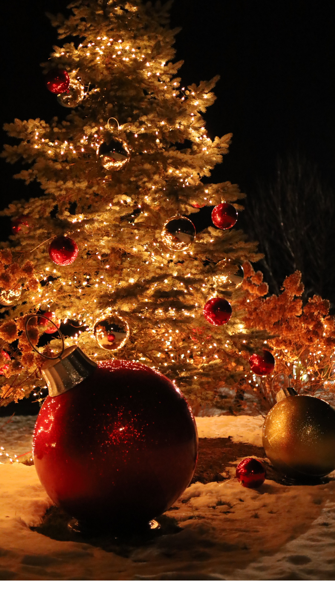 Tree Lighting